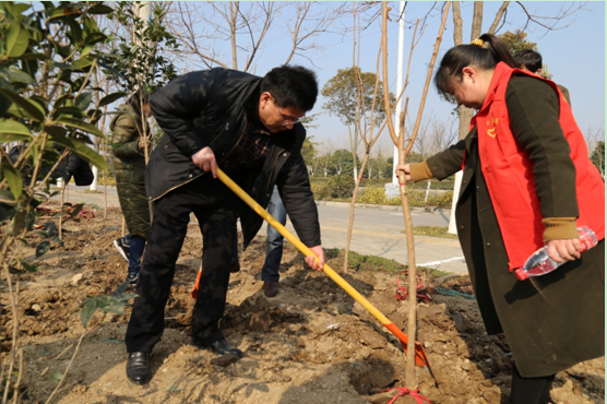 QQ图片20180312163027.png